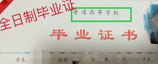 1782292007466106.png image.png